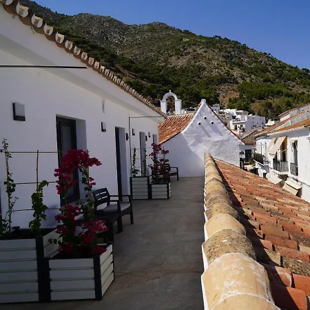 Opuntia Boutique 3*
