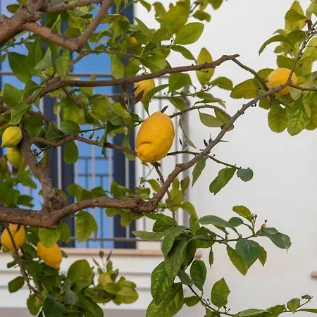 Opuntia Boutique Hotel Mijas