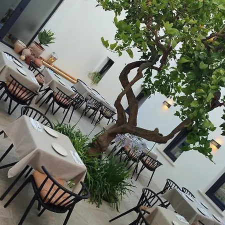 Opuntia Boutique Hotel Mijas