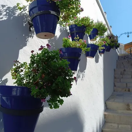 Opuntia Boutique Mijas