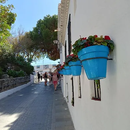 Opuntia Boutique 3*