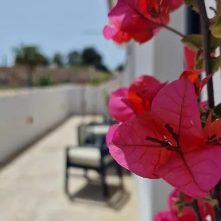 Opuntia Boutique Mijas
