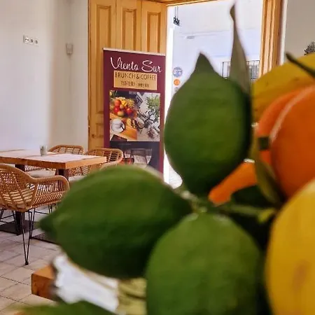 Hotel Opuntia Boutique 3*